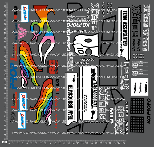 1/10TH ASSOCIAT - R10 - PROTECH 2 - MASAMI HIROSAKA DECALS
