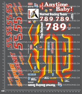 1/10TH SUPER HORNET - AMPRO EDITION DECALS