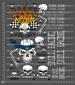 1/10TH SKULL RACING - V2 DECALS - MIKE THE PAINTER
