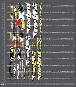 1/10TH LOS - XX-4 WORLDS EDITION DECALS