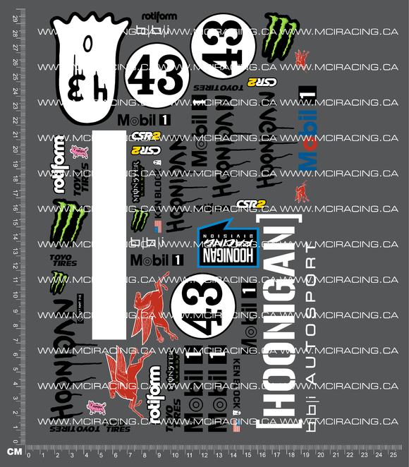 1/10TH HOON -  PIGASUS DECALS