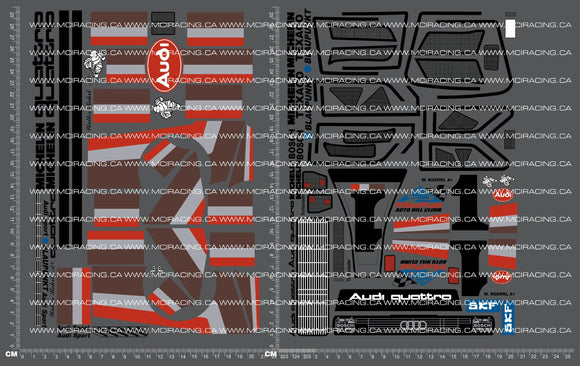 1/10TH AUD QUATTRO S1 - PEAKS PIKE DECALS